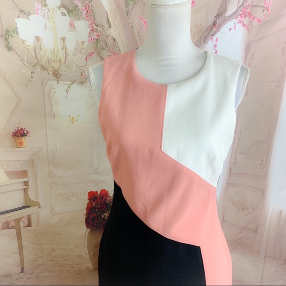 NEW WHBM Diagonal Colorblock Sheath Dress - Picture 3 of 11